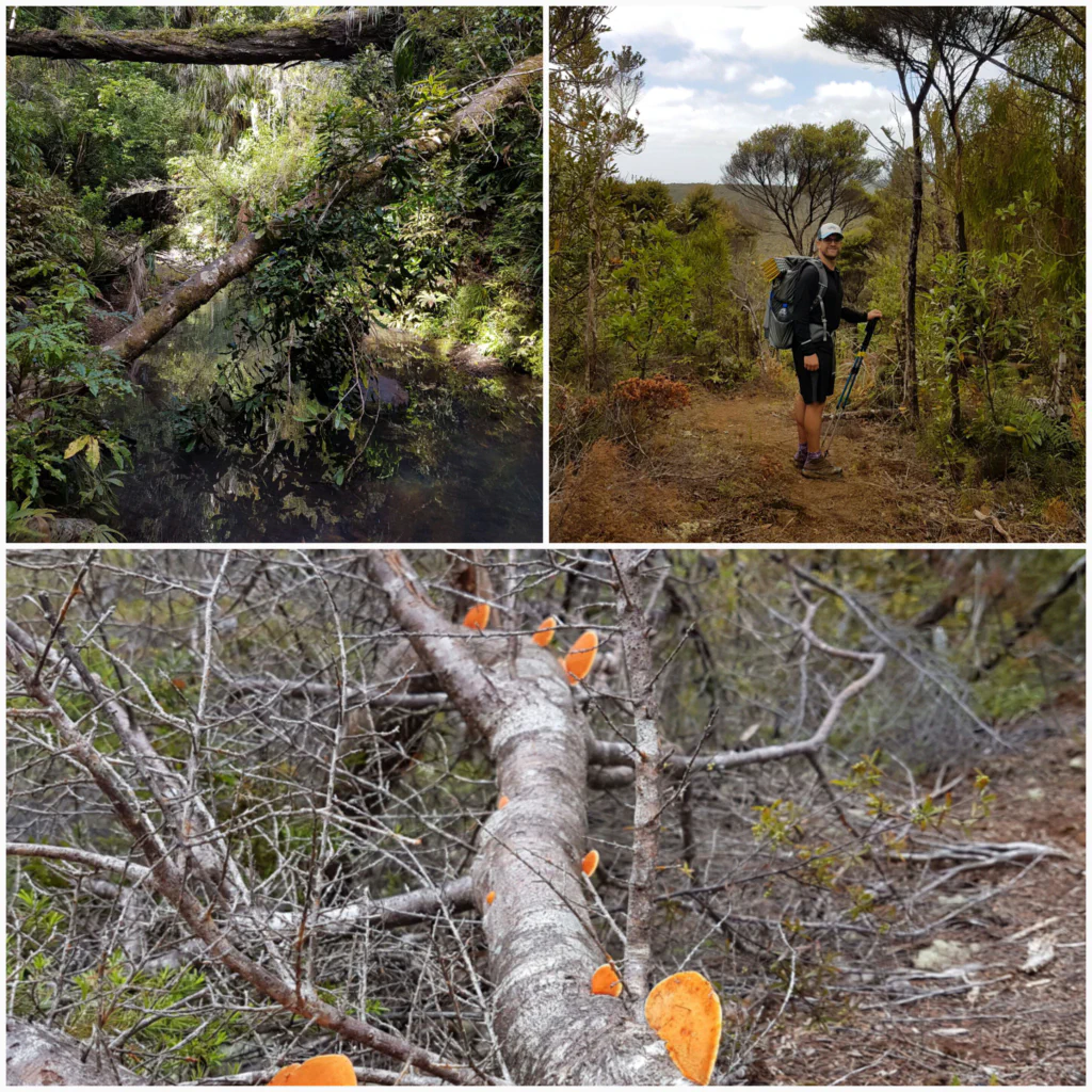 Matschig aber machbar