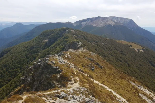 Zwölfte Etappe: Pelorus River Track und Richmond Alpine Track