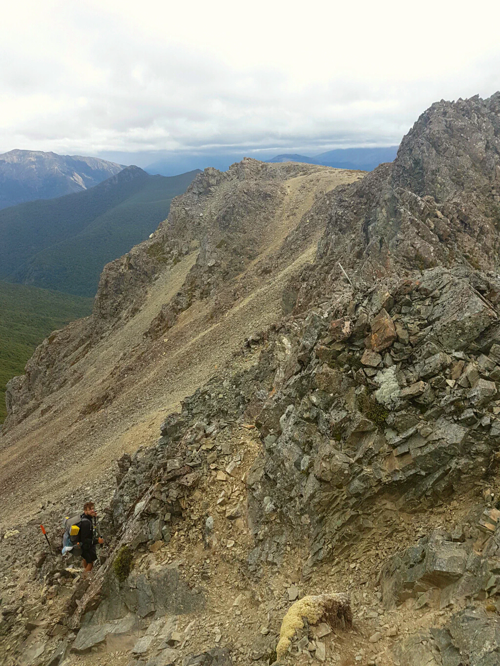 Blick vom Mount Rintoul