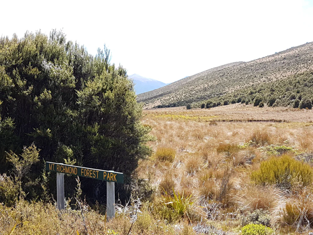 Einkauf fuer neun Tage