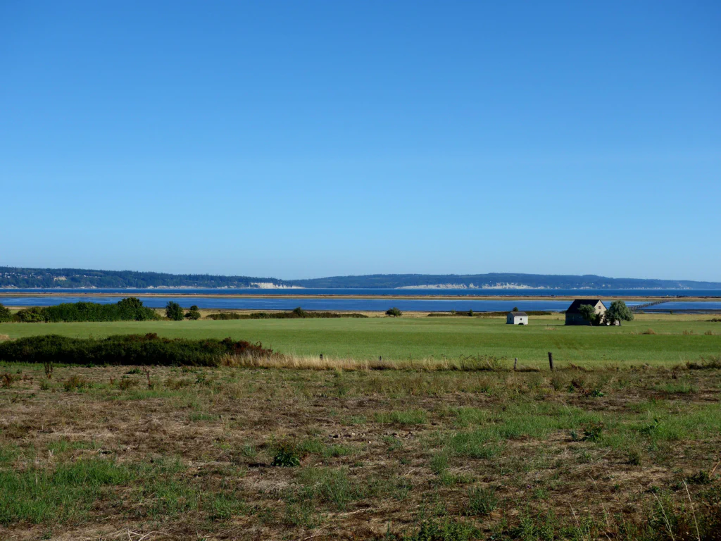 Da will ich ein Foto von dieser idyllischen Landschaft machen...