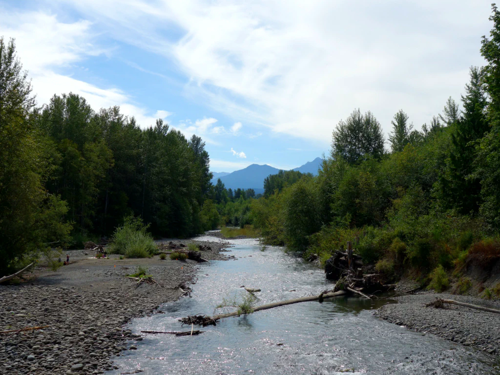 Auf dem Weg zum Dungeness County Park