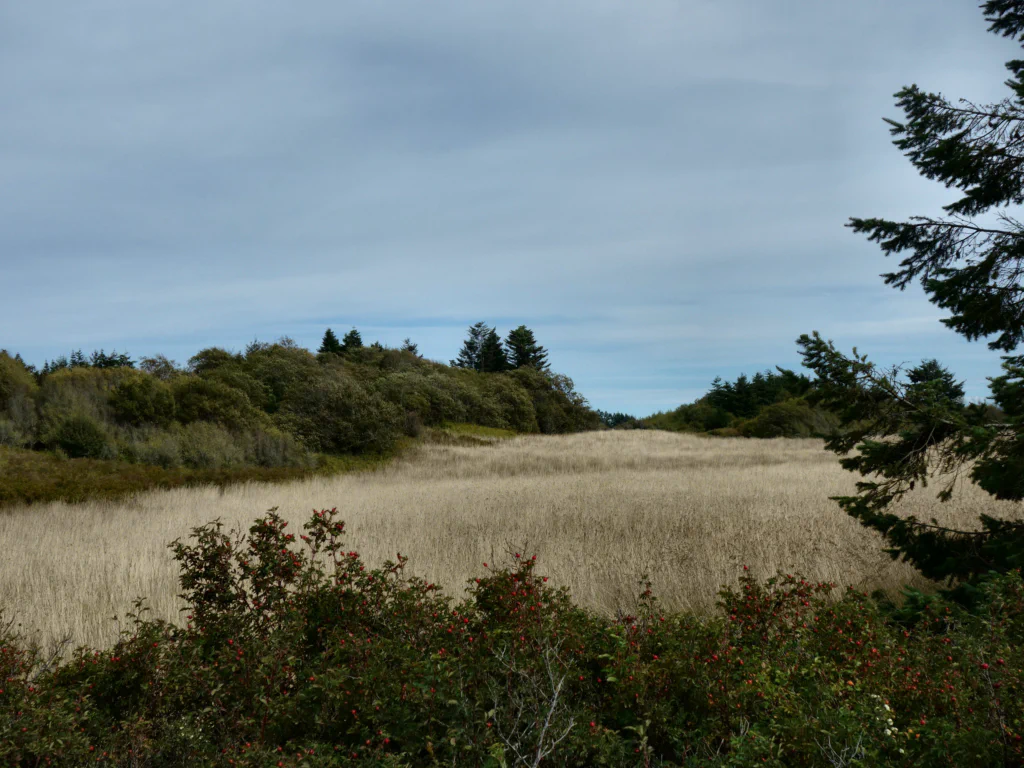 Olympic Range Panorama