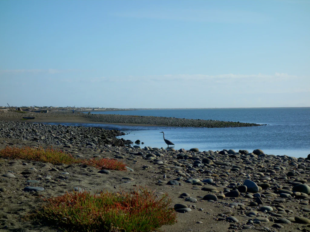 Blick zurueck auf den Dungeness Spit