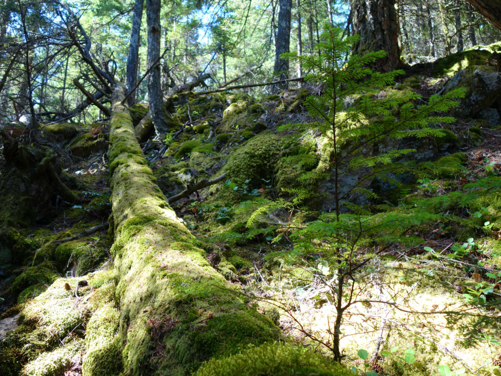 Traumhafter Blick zurueck