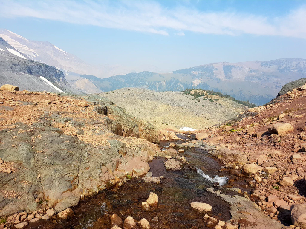 Und plötzlich ist die Vegetation weg!